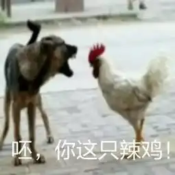  鸡年到了,这全套鸡年表情包,您要收到起