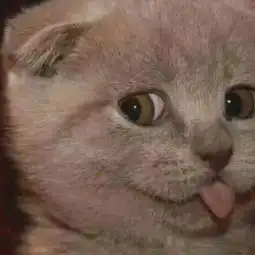  教你get省钱攻略火车票用完不要扔还有这个用途