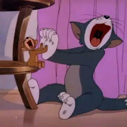  猫和老鼠动漫情侣头像判你无期徒刑,在我身边执行