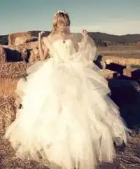  白色纱衣,露出线条优美的颈项和清晰可见的锁骨,裙幅褶褶如雪月光华流动轻泻于地,挽迤三尺有余,使得步态愈加雍容柔美