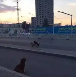  搞笑图片兄弟,你这么光明正大的拍妹子的内裤真的好吗