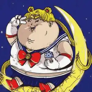  胖用日语怎么说