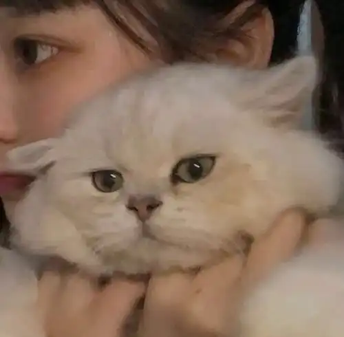  优质精选小众温柔甜美女生头像113