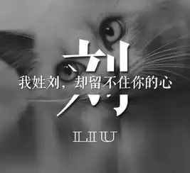  好奇为什么中国有名门望族,却没有特别尊贵的姓氏