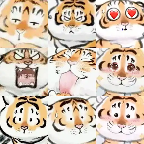  求这种老虎配qq挂件的头像