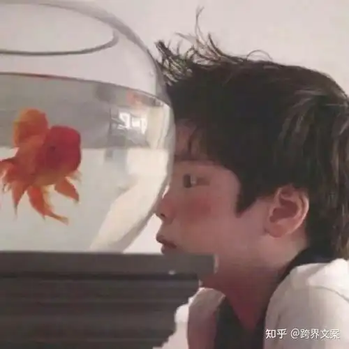 我命油我不油天霸总的土味情话你看了嘛