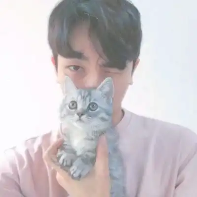  为什么这么多女孩子喜欢肖战