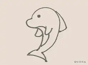 简笔画之海豚