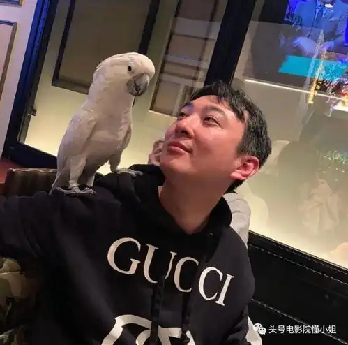  王思聪和女网红互撕,被爆网名谐音吴亦凡,两人找女友都要内在美