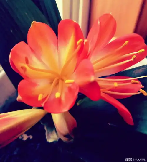  情人节,女人最在乎的真不是礼物,而是男人对她的在乎