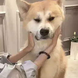  有哪些好看的情侣头像