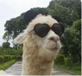  光绪元宝到底值不值钱