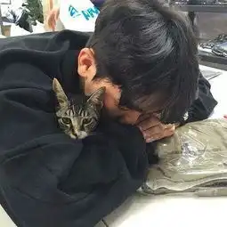  人生苦短让我们立刻错过这段感情吧