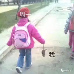  朋友发消息问我angelababy是sei哈哈哈哈这对话谁顶得住