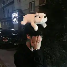 我想找这个图片的情侣头像