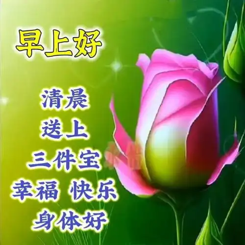  2024.8.30早安问候,愿你顺心如意