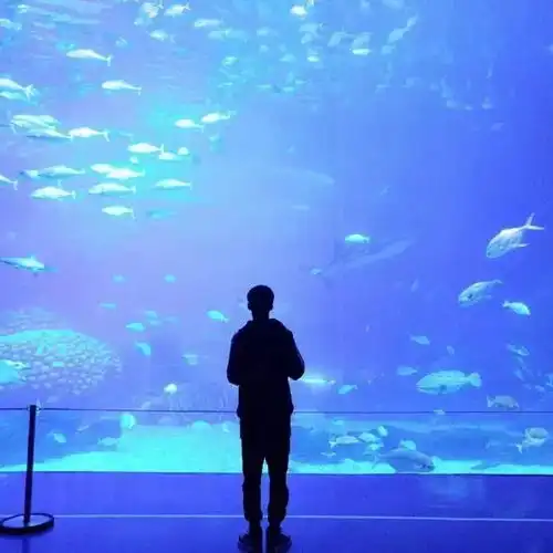  一大波情侣头像