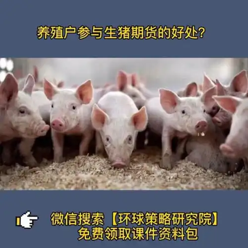  生猪期货期货润金说生猪环球策略研究院