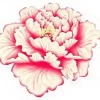  牡丹花头像图片大全大图微信头像图片大全