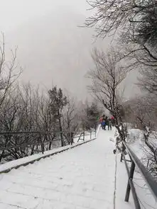  狂风暴雪中,登顶中岳嵩山峻极峰