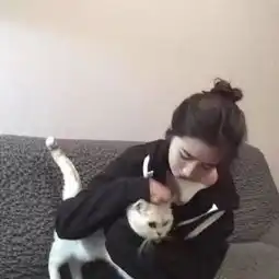  情侣头像一半是春夏,一半是秋冬,土味套路情话你想知道么