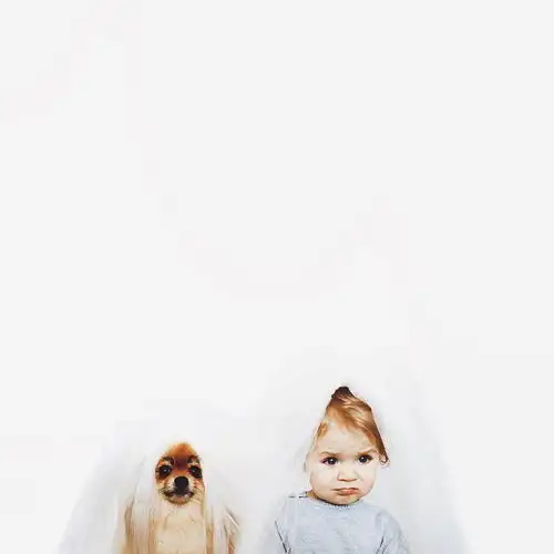  另类情侣照宝宝与宠物犬的甜蜜约会