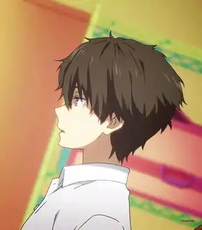  转完整性大盘点论比岛出过的动漫