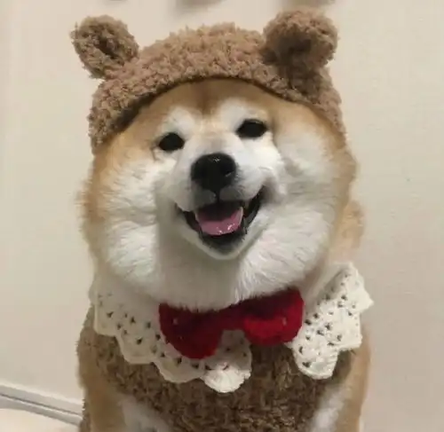  系列头像人如果没有梦想那跟无忧无虑有什么区别