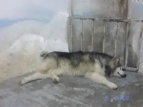  南京一路走来的见证