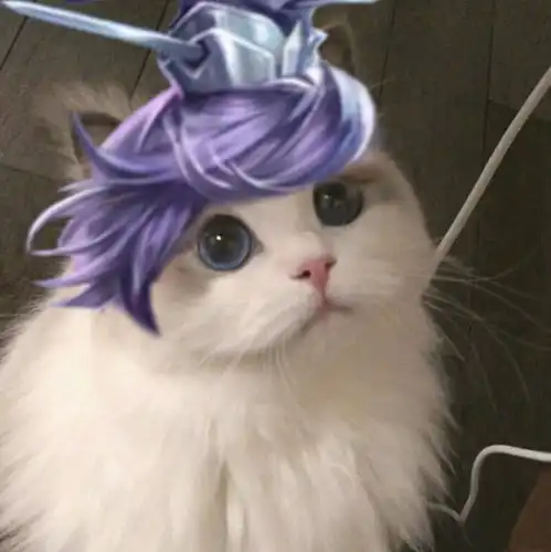  王者荣耀刘邦猫咪头像