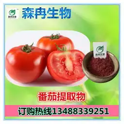 汉姆番茄报价厂家
