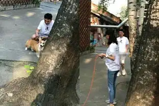  王思聪疑坐实新恋情目前这位颜值身材均在线