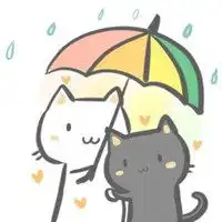  白猫头像图片大全大图微信头像图片大全