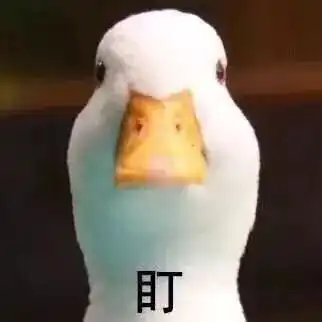  1044社会心好累鸭为判定主人是谁,民警放鸭找家,还出动了鉴鸭师