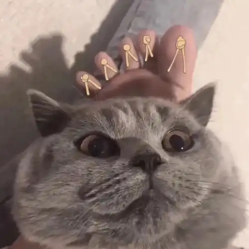  纸杯大改造这样的一次性纸杯你见过吗