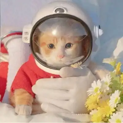  ins宇航员情侣头像