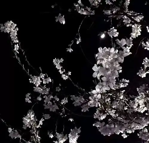  背景图如果事事都能如意就不叫生活了