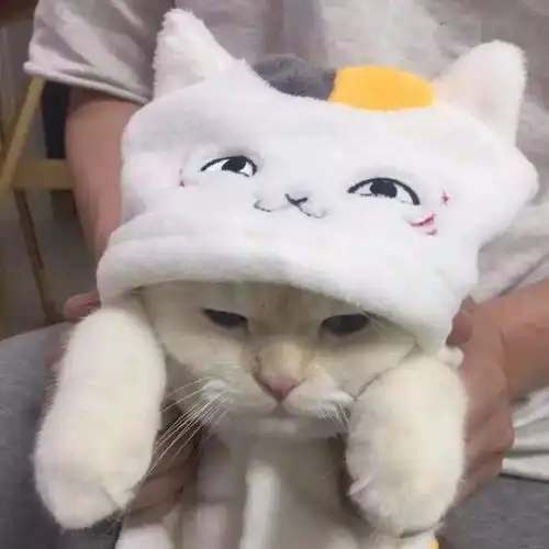 头像爱一个人是很幸福的事