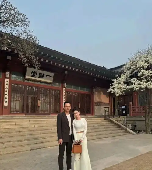  汪小菲终于反击了晒和未婚妻小梅游韩国合影,评论区热闹了