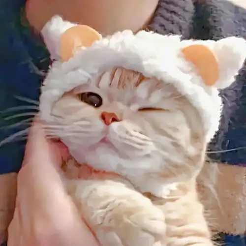  抖音热门情侣头像在长大在失去在努力在接受在好好生活