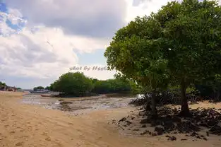  性感美女巴厘岛秀大长腿,邂逅万种风情,静赏美景,附比基尼照