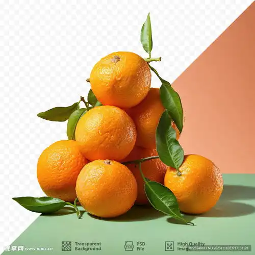 橘子设计图