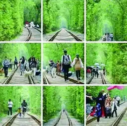  别去了南京警方劝游客勿赴爱情隧道中工民生