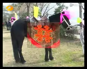  视频长沙情侣上演接吻大赛9分钟不停歇