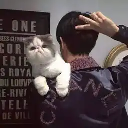  带猫的记得点赞哦