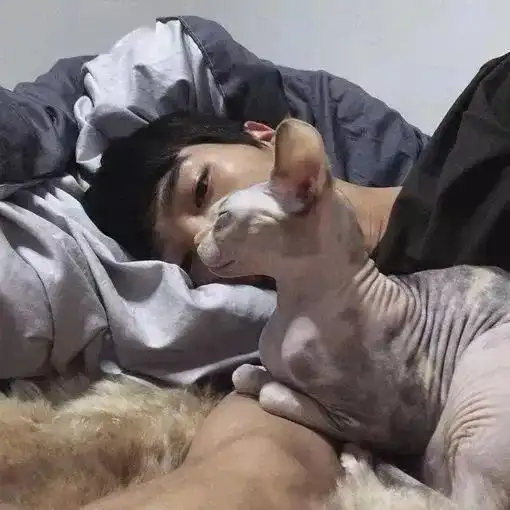  高冷性感的头像今日宜找我谈恋爱