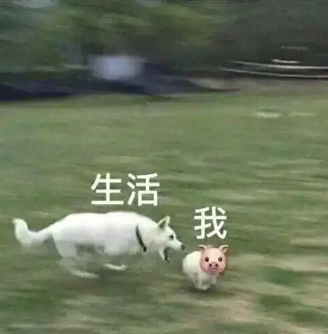 医护必看医生护士工作时的表情包,太形象了