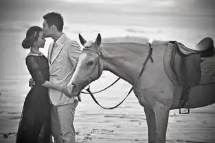  严屹宽杜若溪婚礼写真喜宴party美图大曝光海边齐赏烟火狂欢,明星亲友团闹腾欢喜