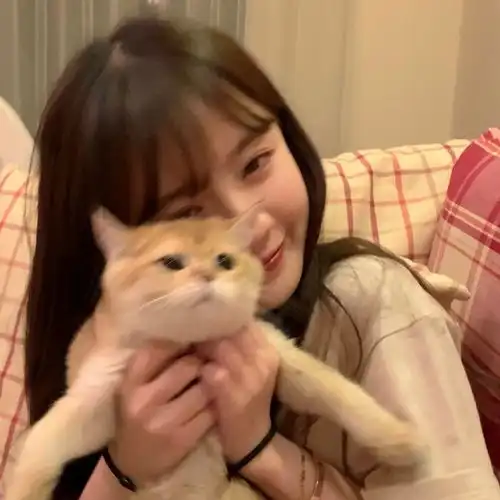 那些温柔的抱猫女生头像,预祝你我有数不尽的鲜花和浪漫
