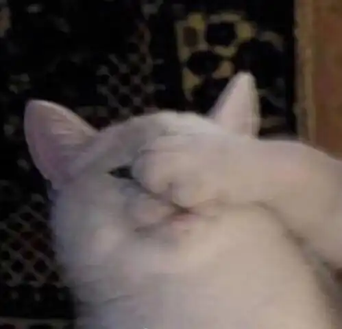  好看的情侣头像,等你来换